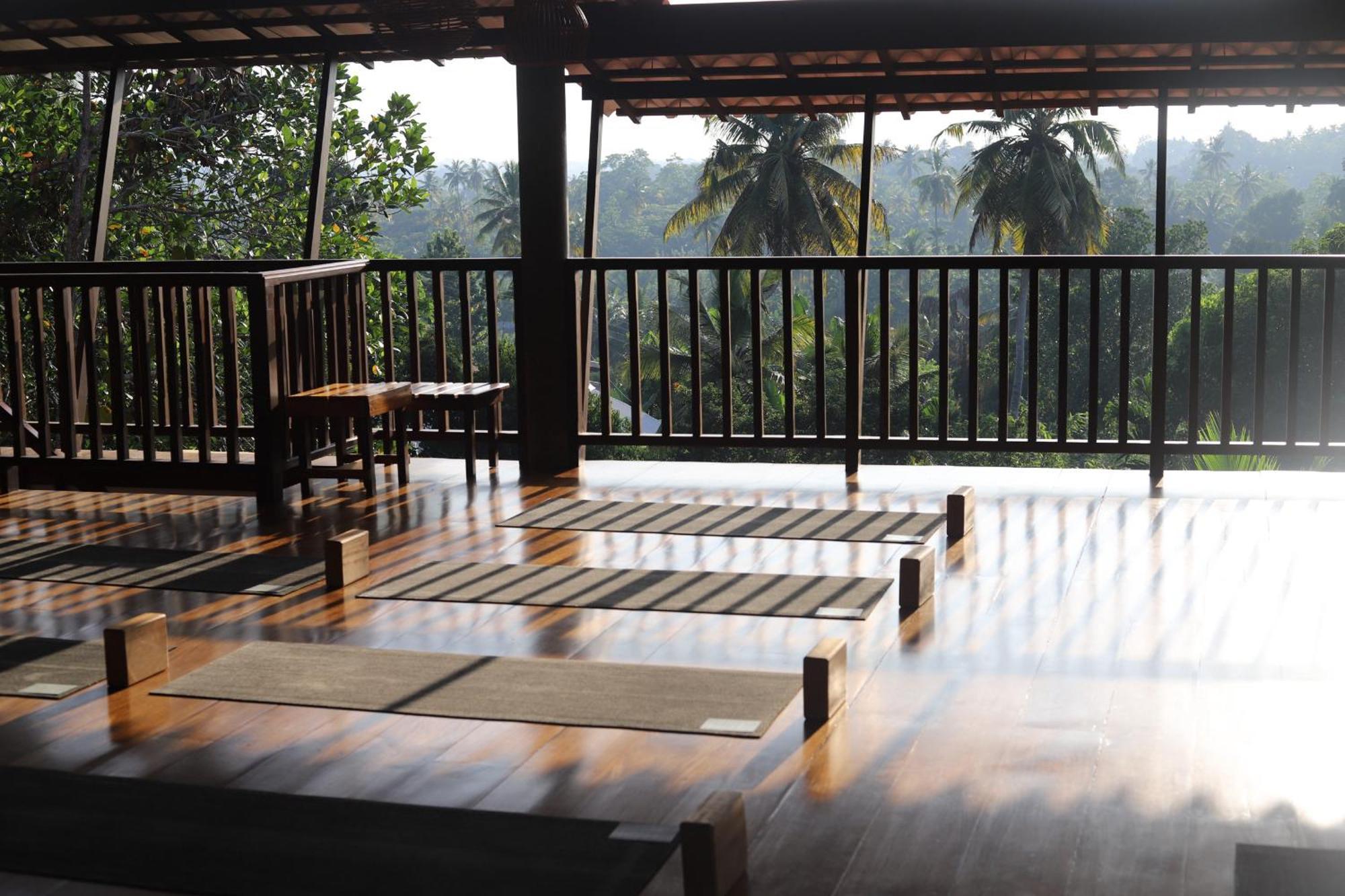 米瑞莎 The Jungle View酒店 外观 照片